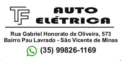 TF Auto Eletrica foto 1